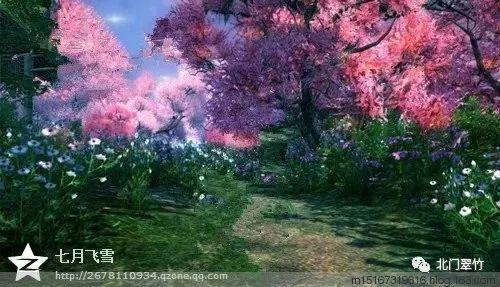 个人所得税企业办税权限怎么显示全部企业？游戏画面
