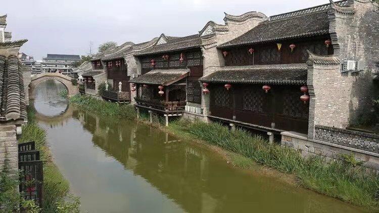 救援狗与猫